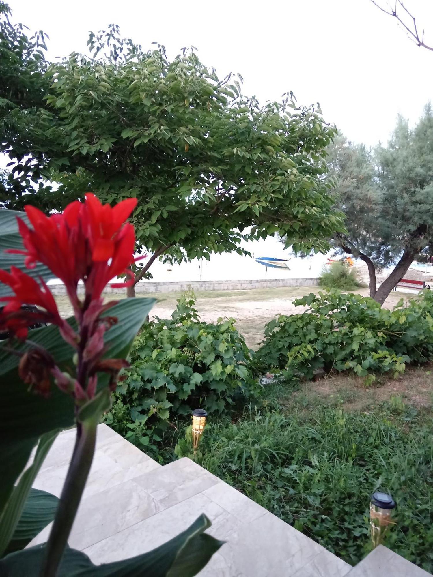 Seaview Holiday Apartments, Ventura Nin Eksteriør bilde
